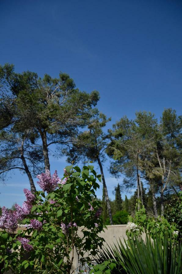 Mas Du Puech Clapas Villa Assas Luaran gambar